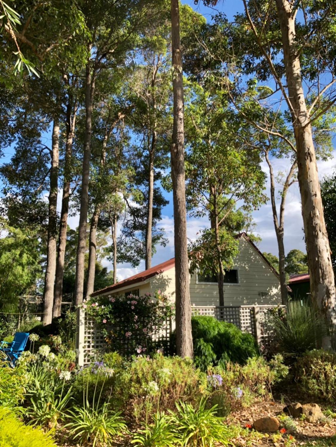 Appartement The Boulevard Garden Studio à Margaret River Extérieur photo